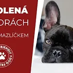 Horsky Montana 酒店 Špindlerŭv Mlýn