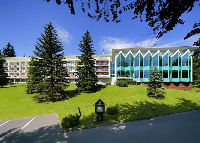 فندق Horsky Montana 3*