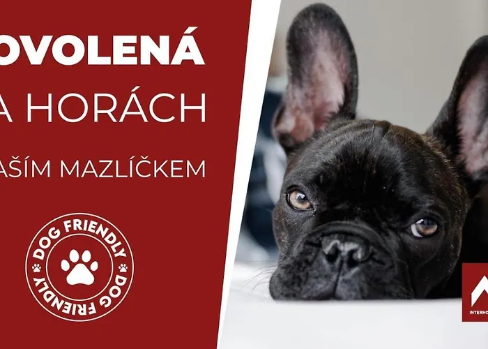 Horsky Montana فندق Špindlerŭv Mlýn