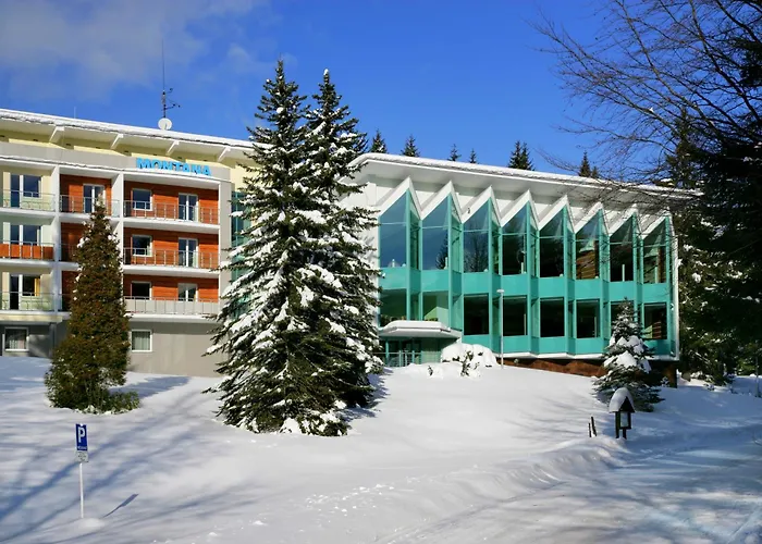 فندق Horsky Montana 3*