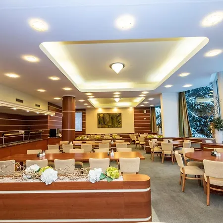 Hotel Interhotel Montana Spindleruv Mlyn