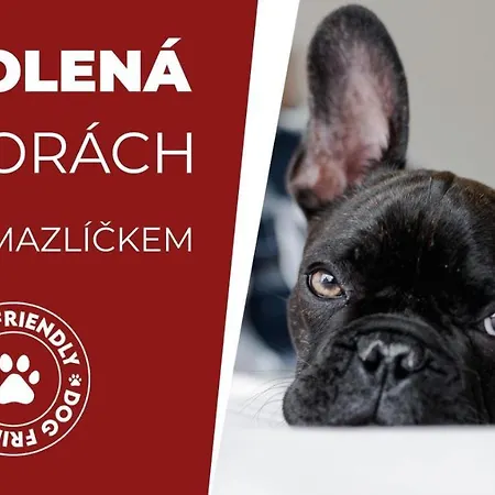 Horsky Montana 酒店 Špindlerŭv Mlýn