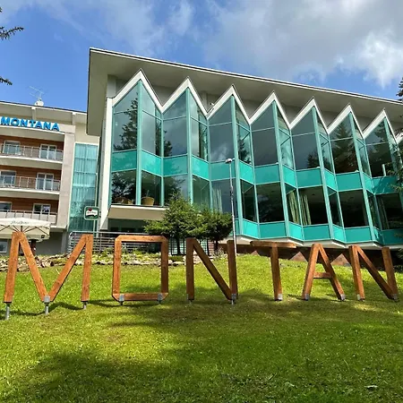 Horsky Montana 酒店 3*