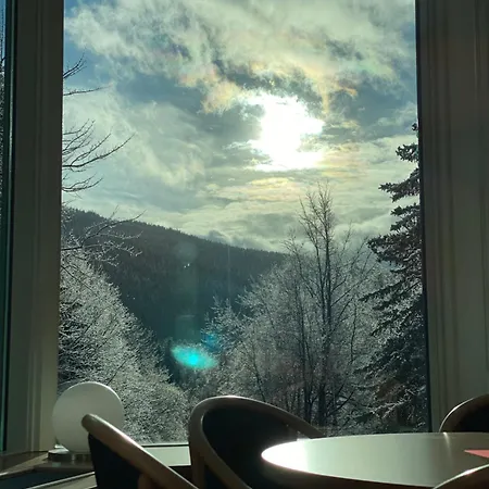 Interhotel Montana Spindleruv Mlyn