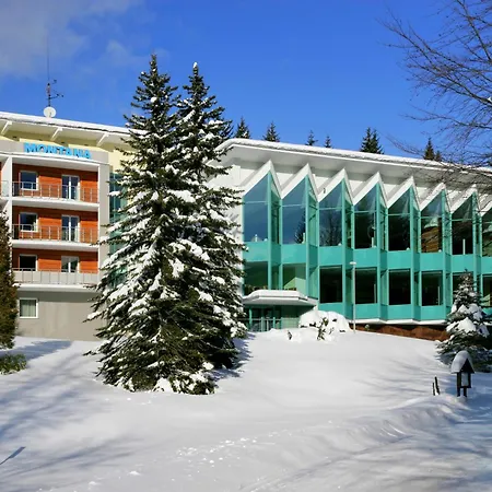 酒店 Horsky Montana 3*