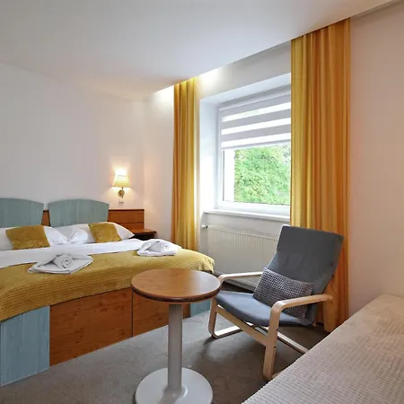 酒店 Horsky Montana