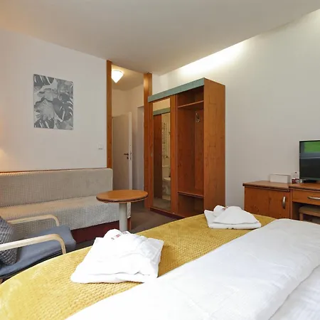 Interhotel Montana فندق