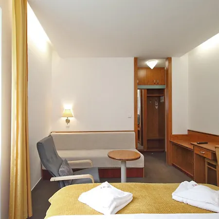 Interhotel Montana فندق