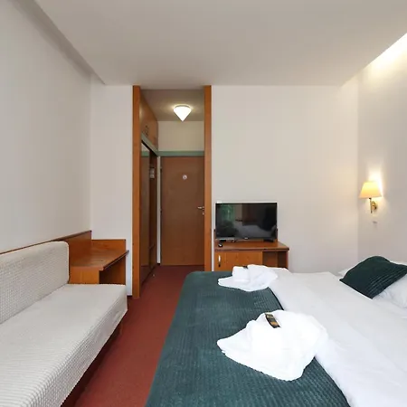 Interhotel Montana فندق