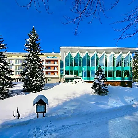 فندق Horsky Montana 3*