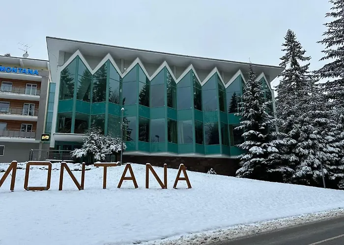 Otel Horsky Montana